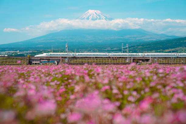 Imperial Japan in Style